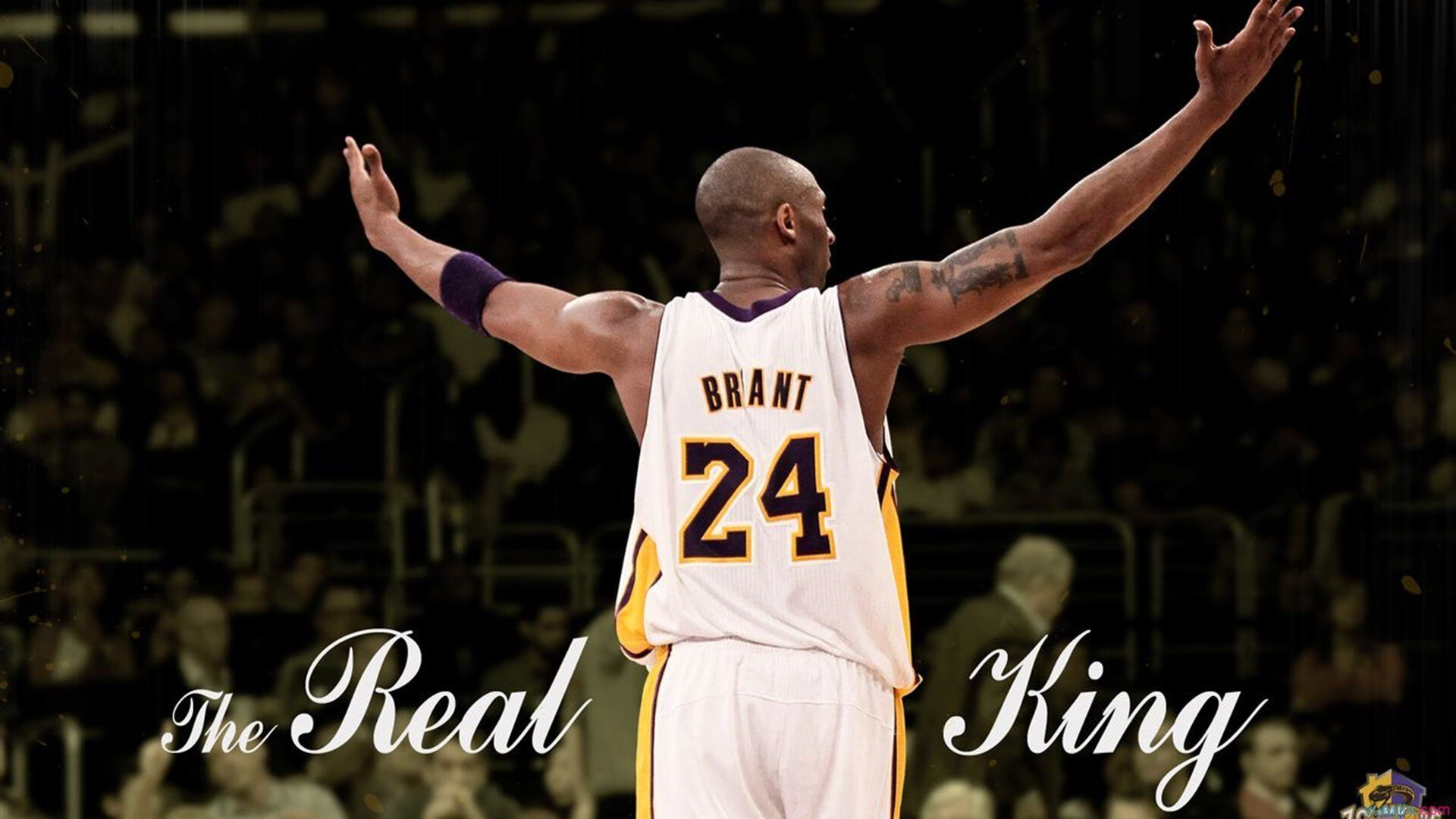 简：作为全黑队的边锋，连连得分为球队提供巨大助力