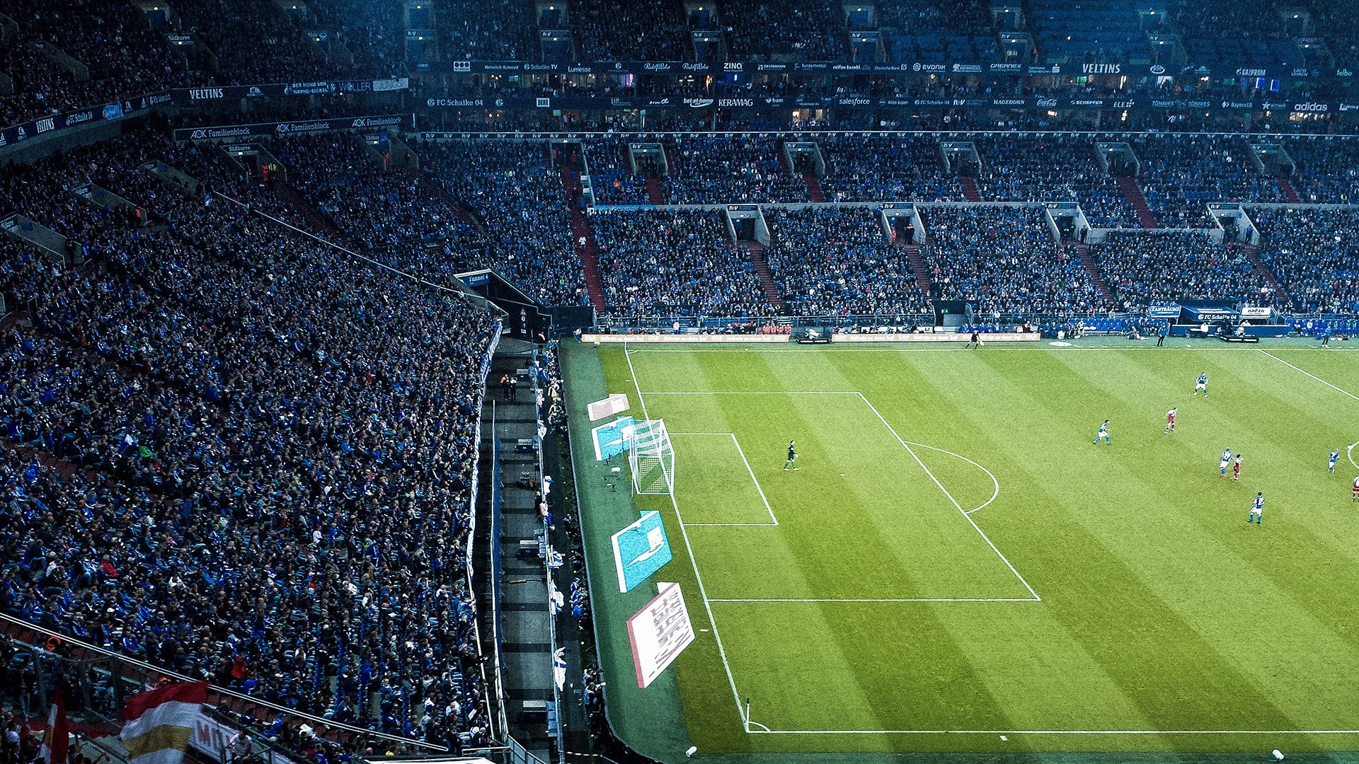 新星崭露头角，未来可期！，新星头像